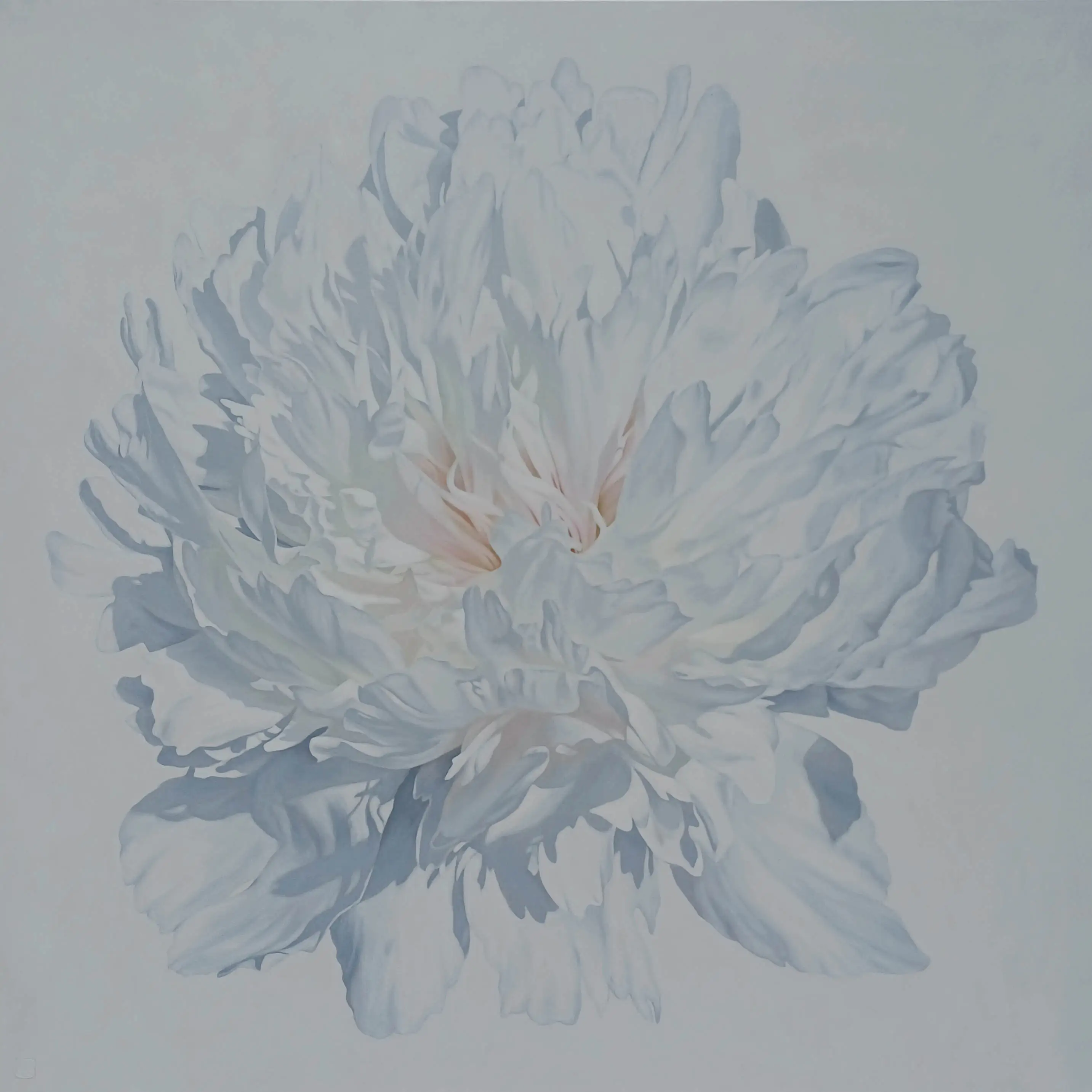 Peony Portrait 1826 153x153cm
