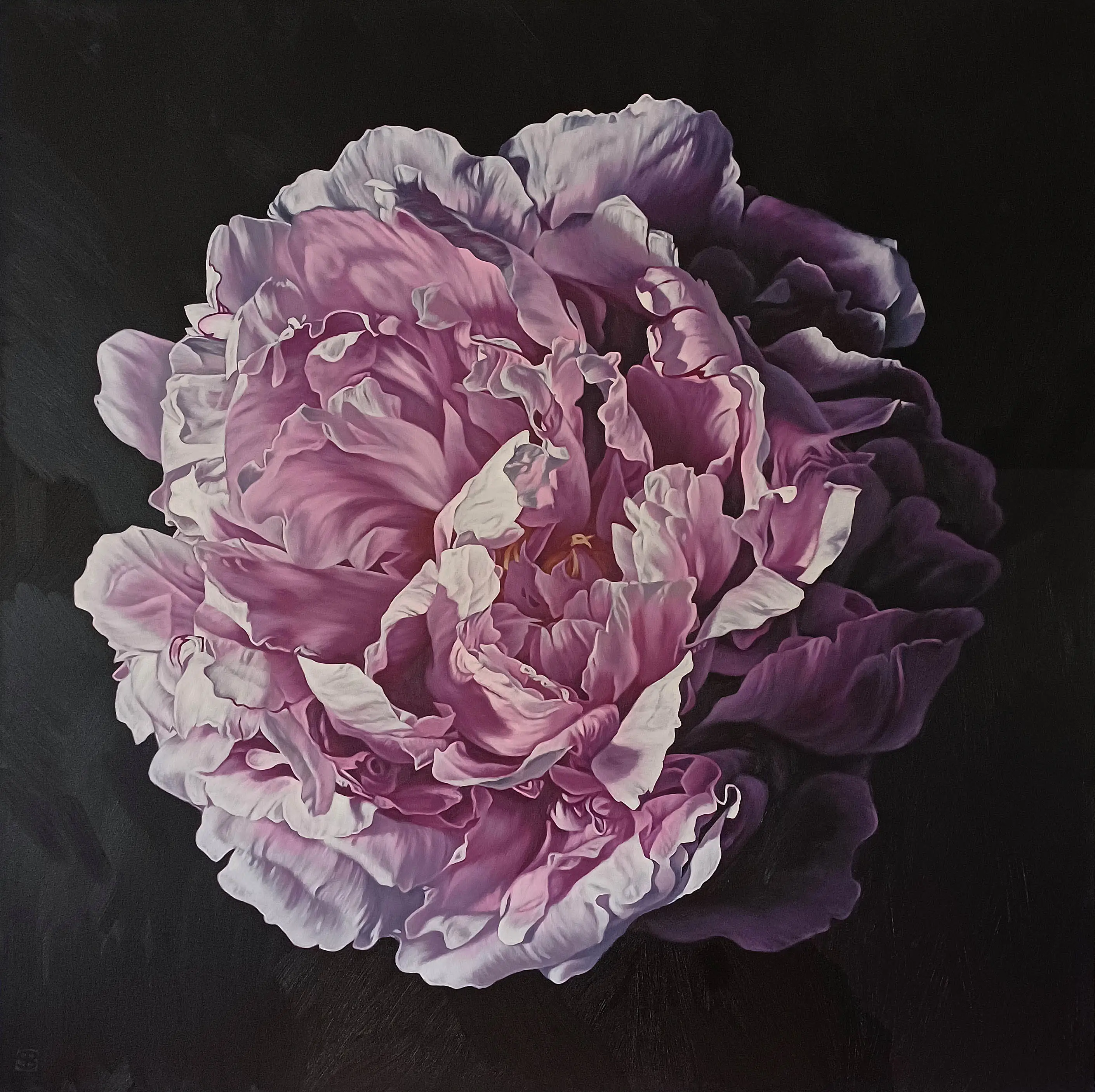Peony Portrait 0525 153x153cm