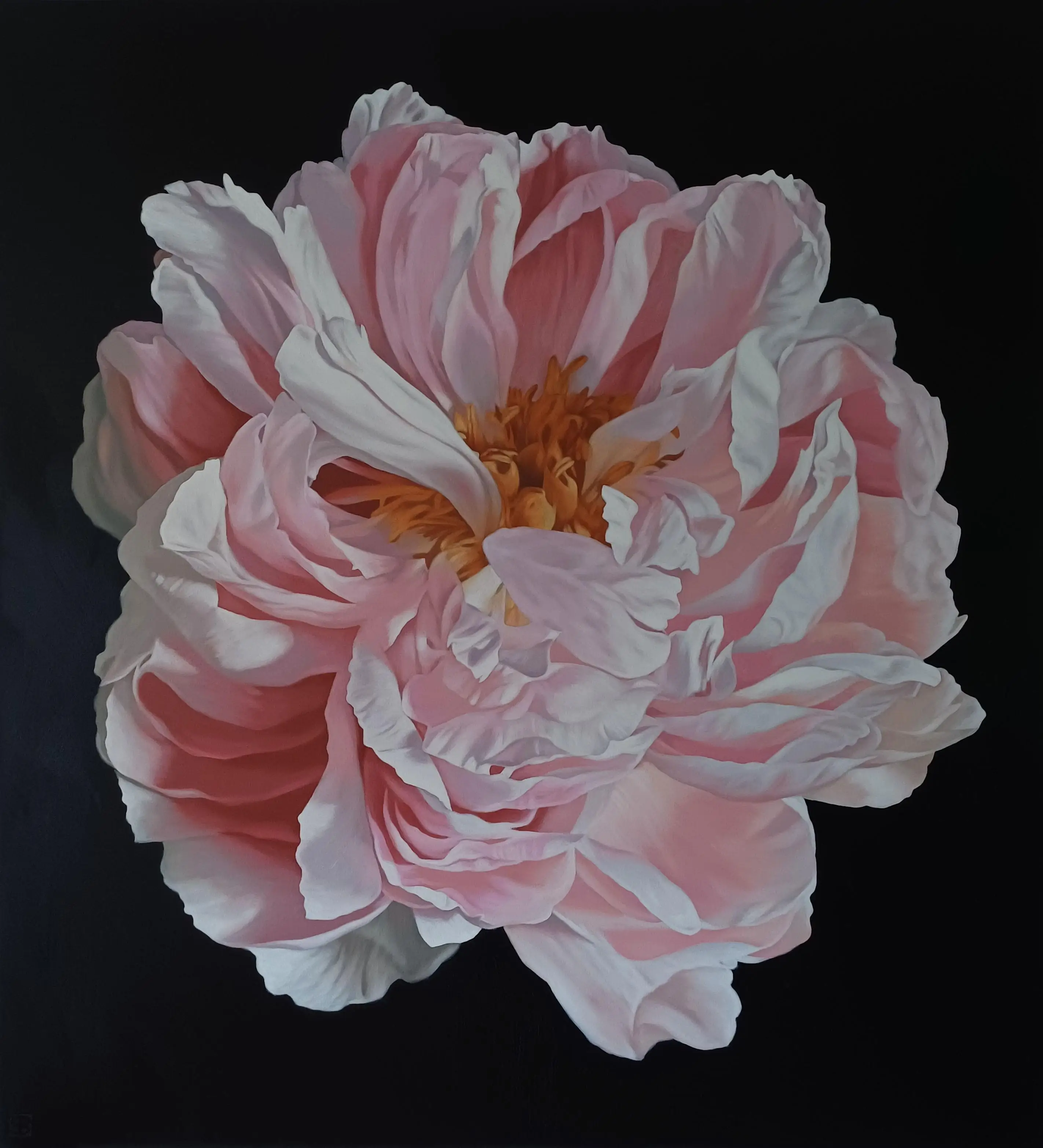 Peony Portrait 2226 153x137cm