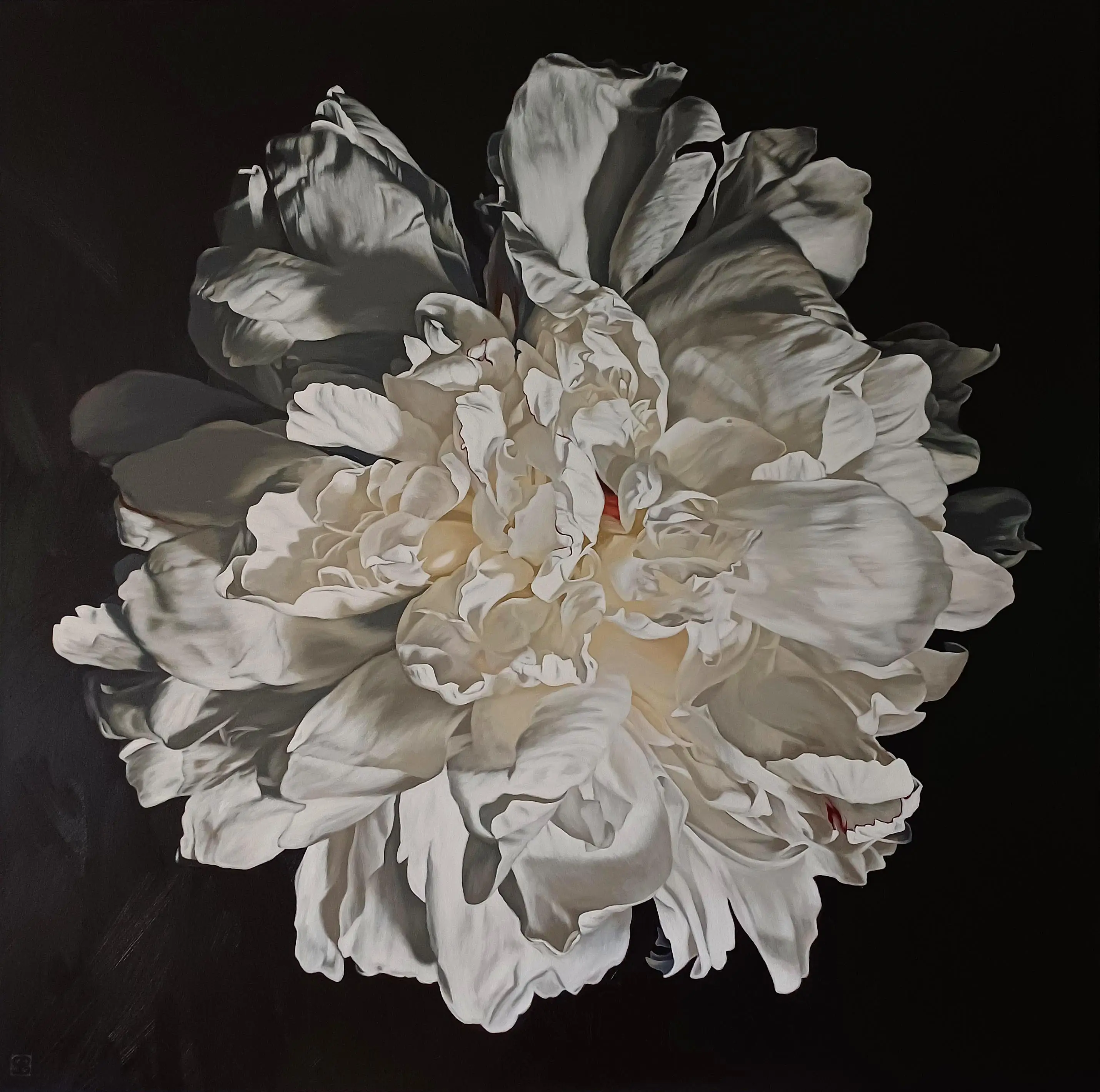 Peony Portrait 0326 153x153cm