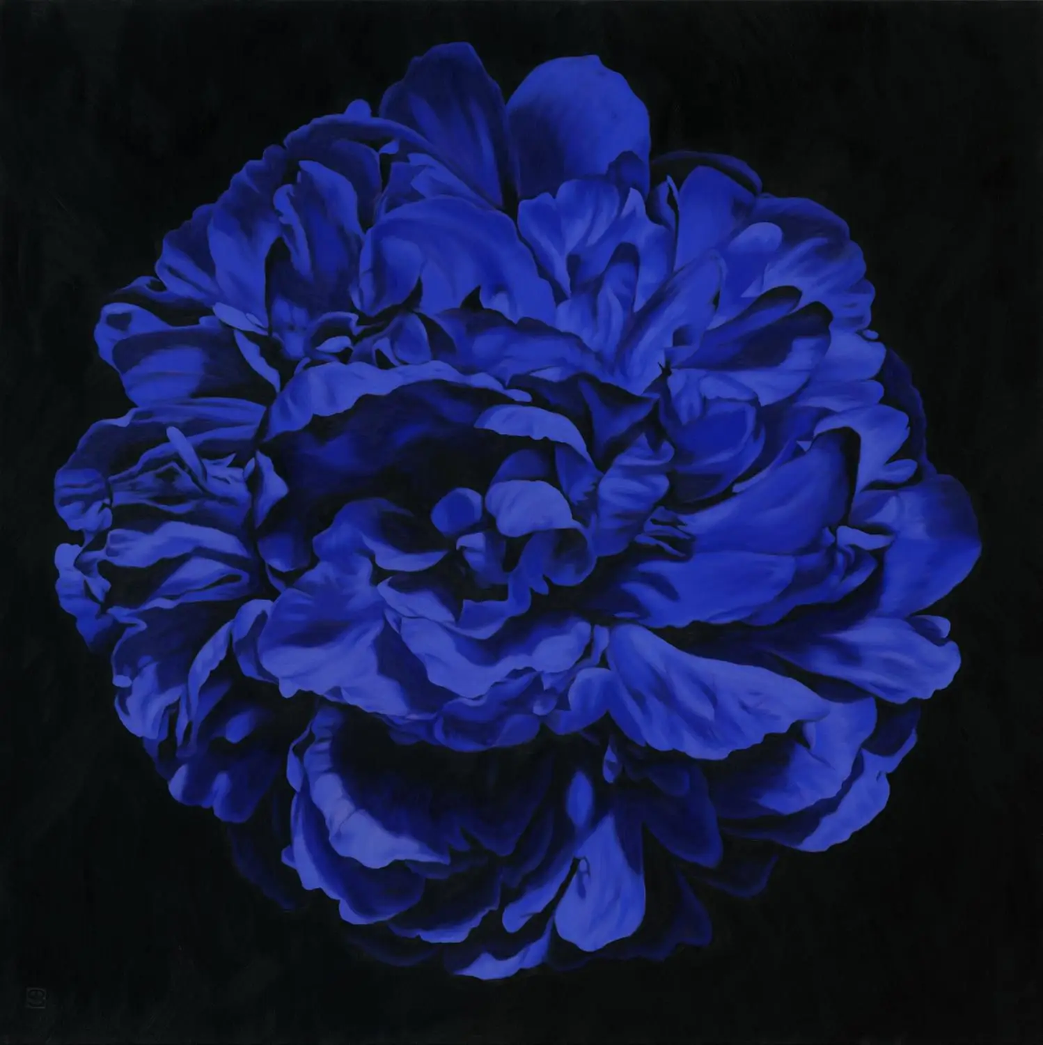 SimonBarlow_PeonyPortrait1724_1530x1530mm_WEB