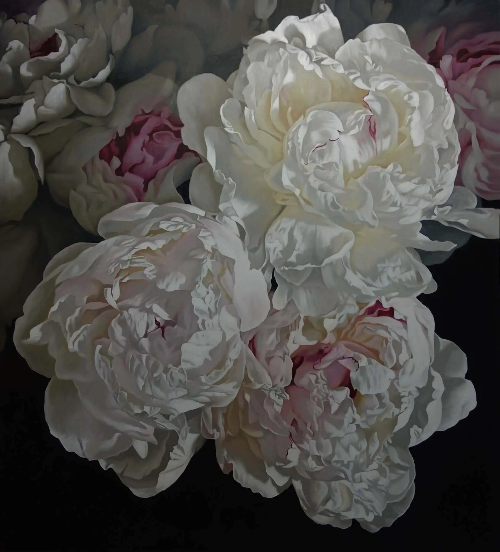 Peonies 1125 153x137cm