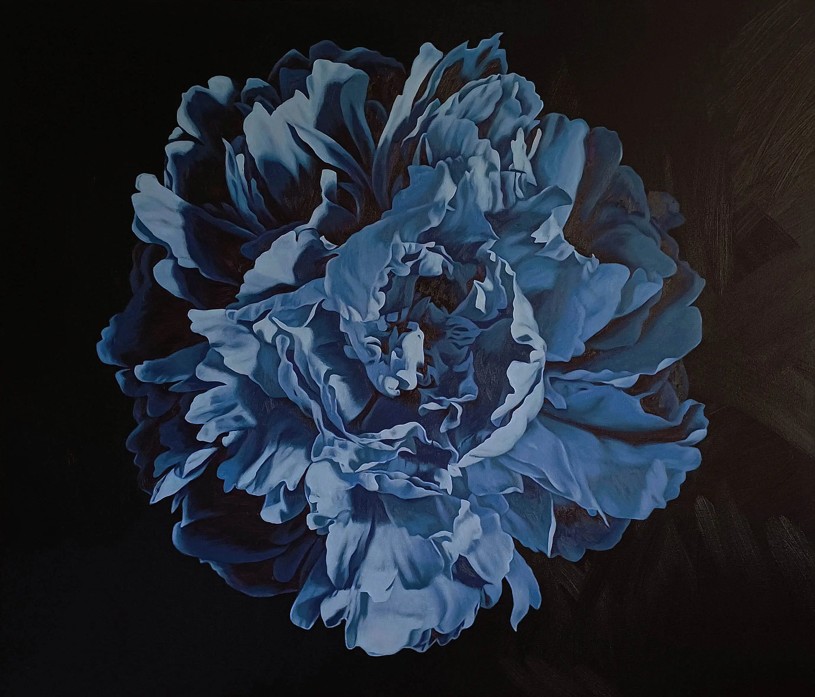 Peony Portrait 0425 153x153cm