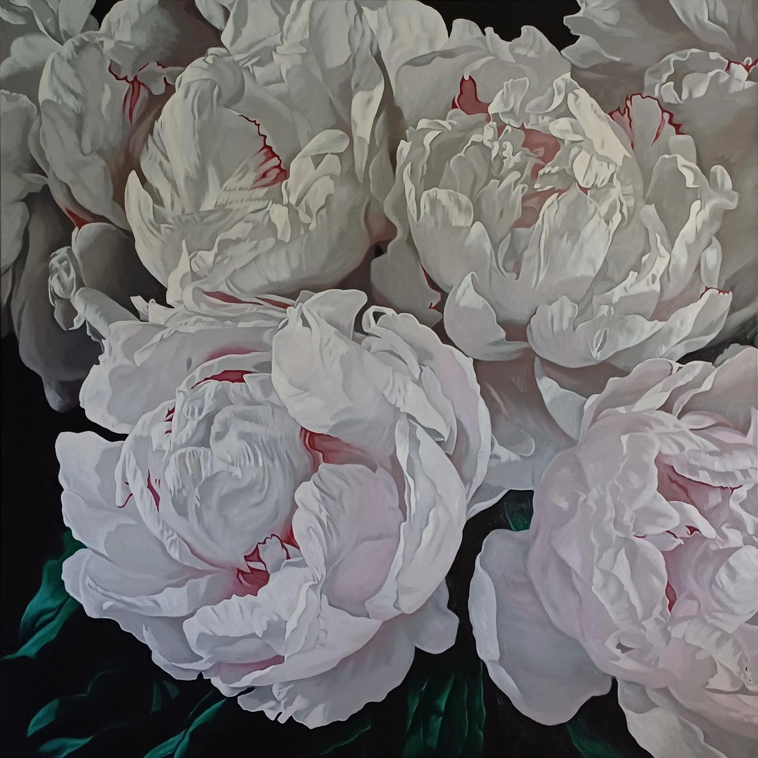 Peonies 0324 1373x137cm