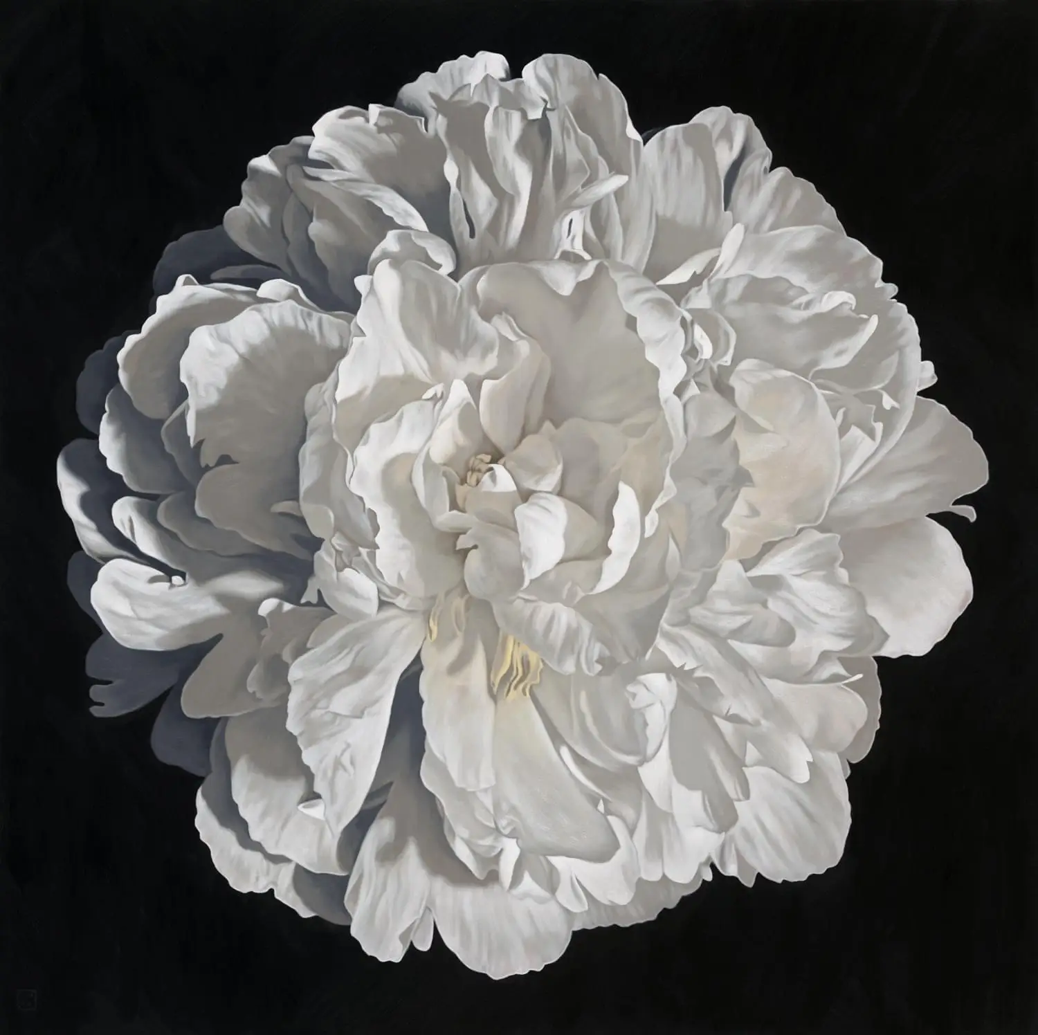 SimonBarlow_PeonyPortrait1824_1530x1530mm_WEB