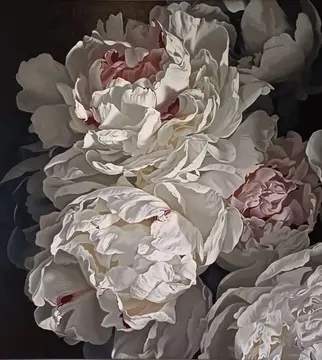 Peonies 2324 153x137cm