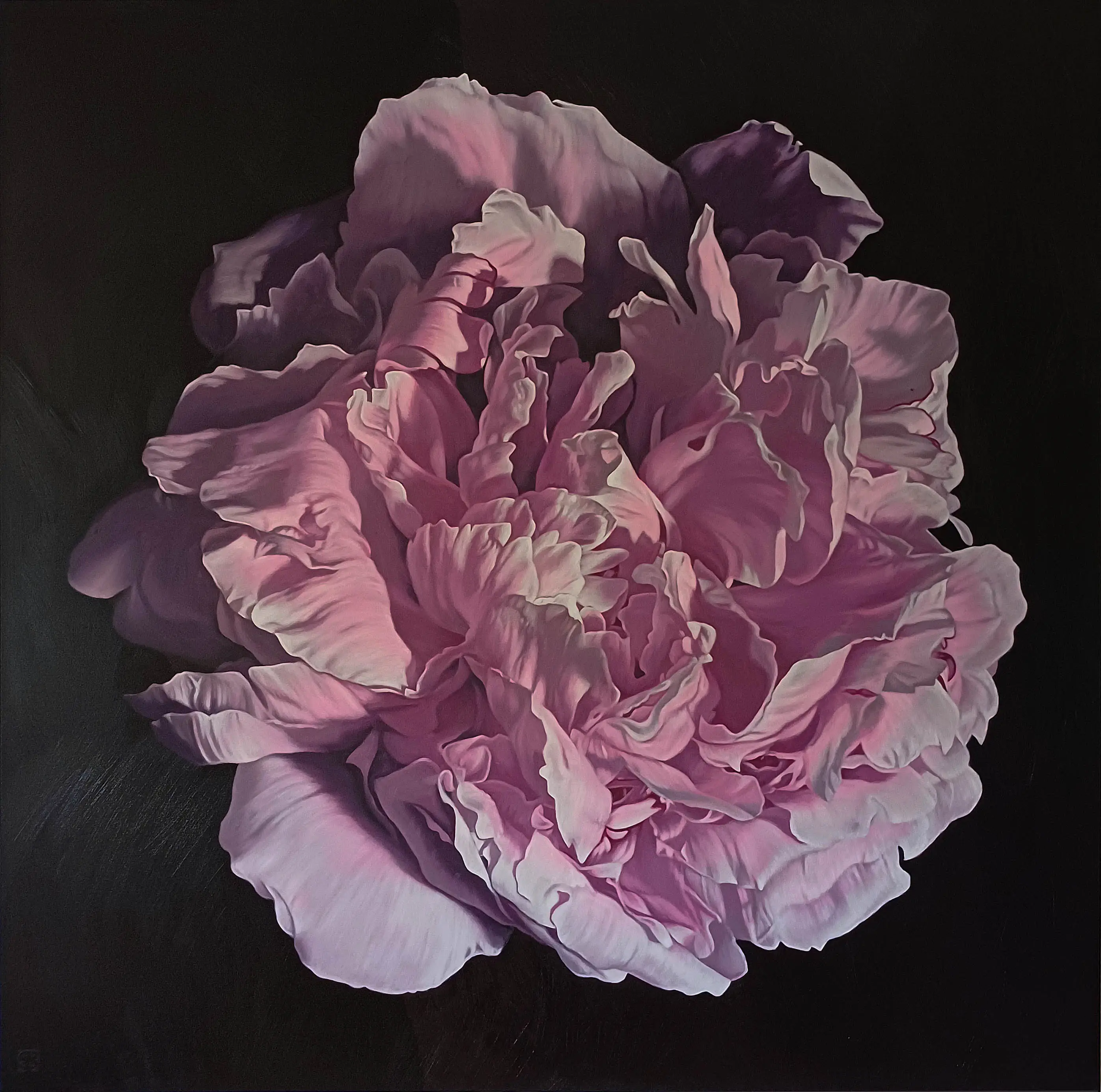 Peony Portrait 0625 153x153cm