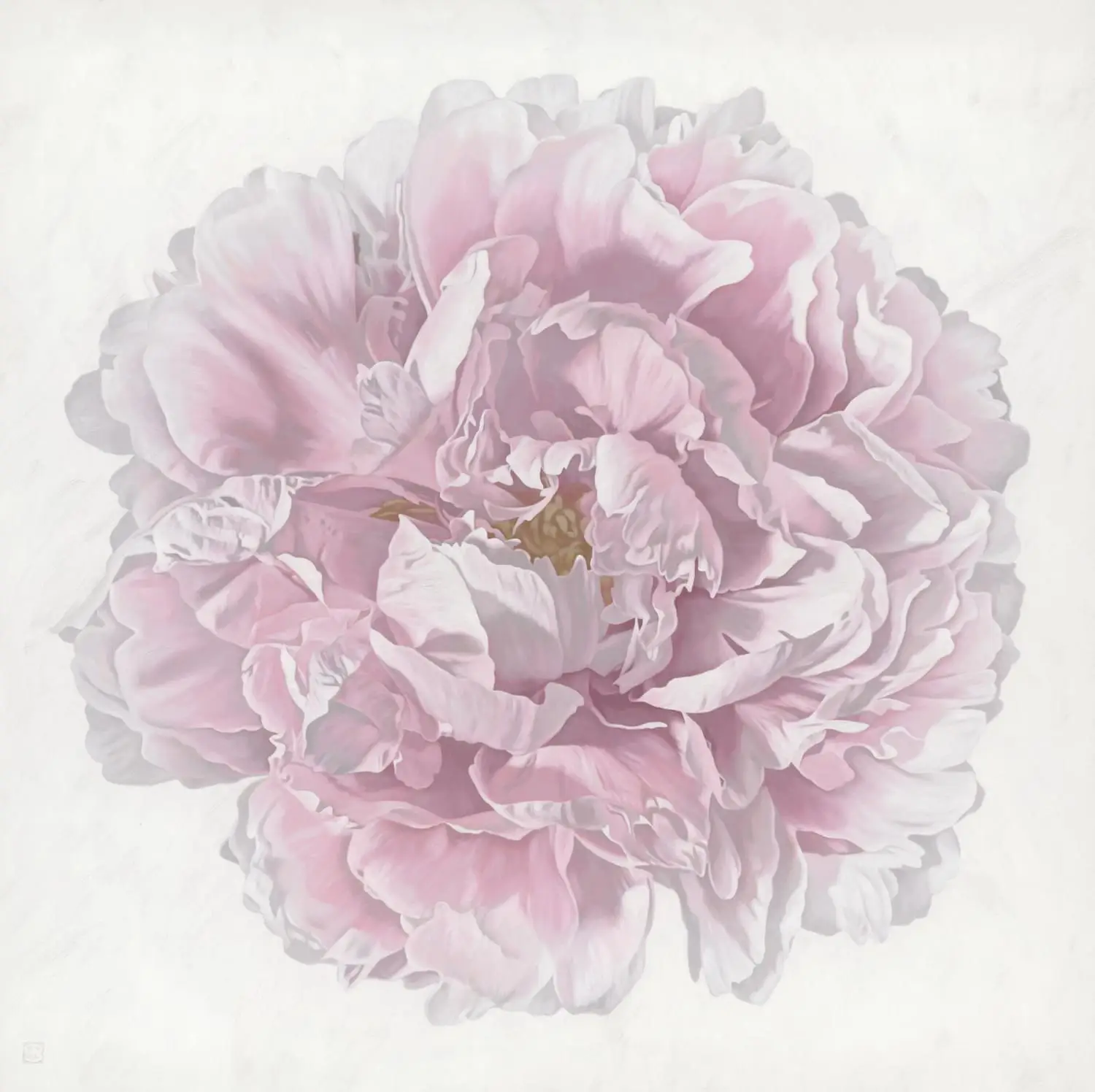 SimonBarlow_PeonyPortrait1624_WEB