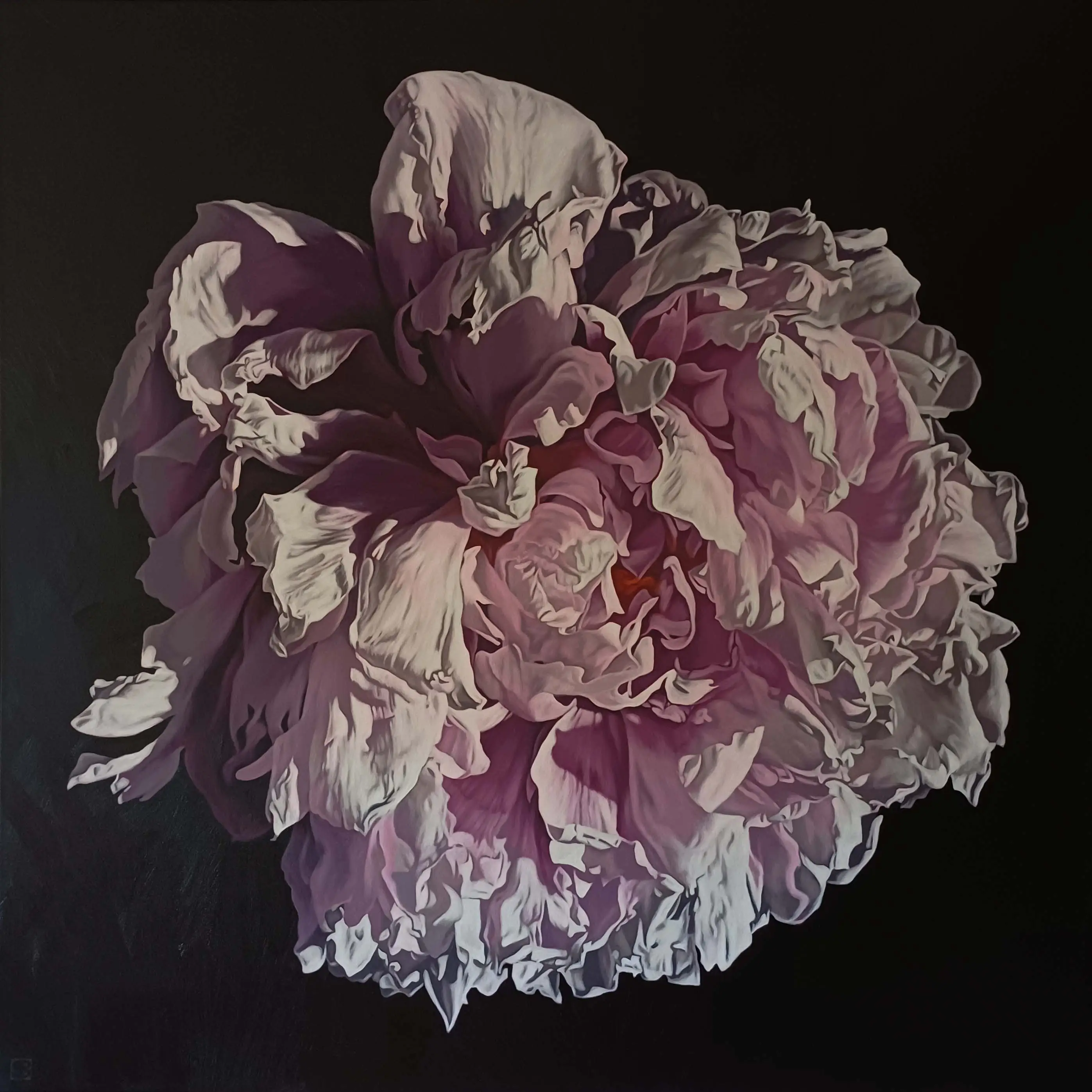 Peony Portrait 1525 153x153cm