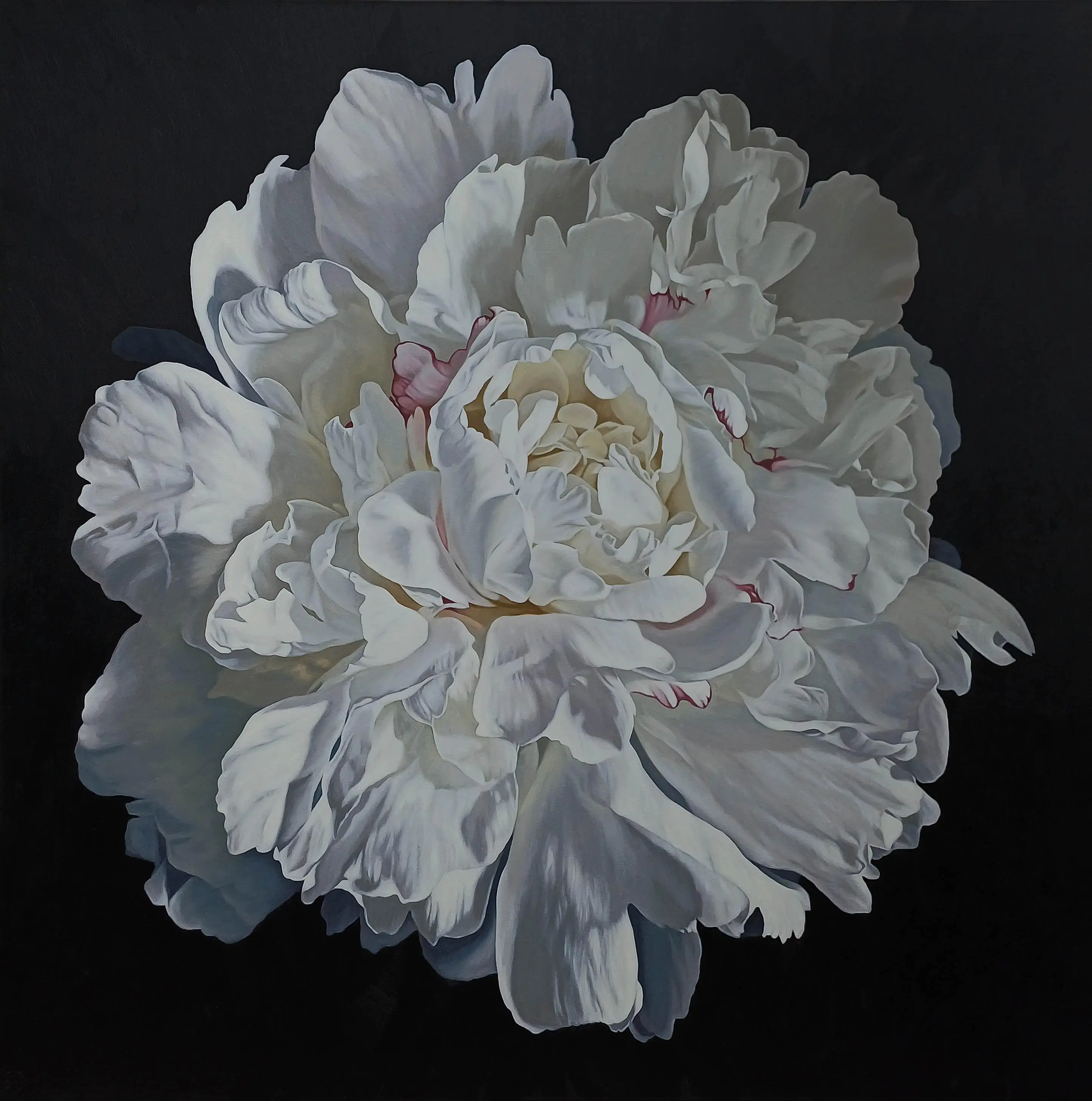 Peony Portrait 1626 182x182cm