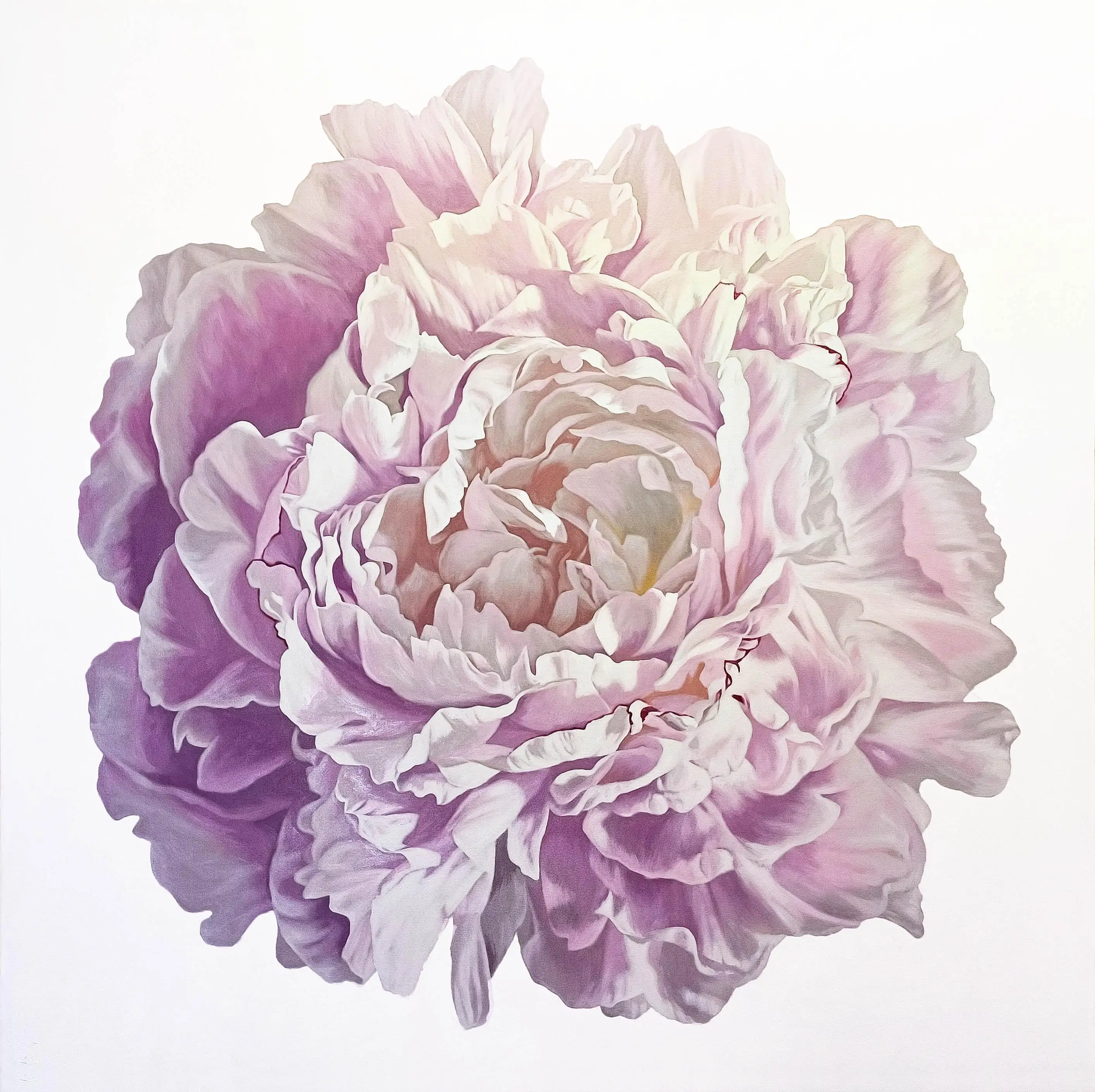 Peony Portrait 0924 150x150cm