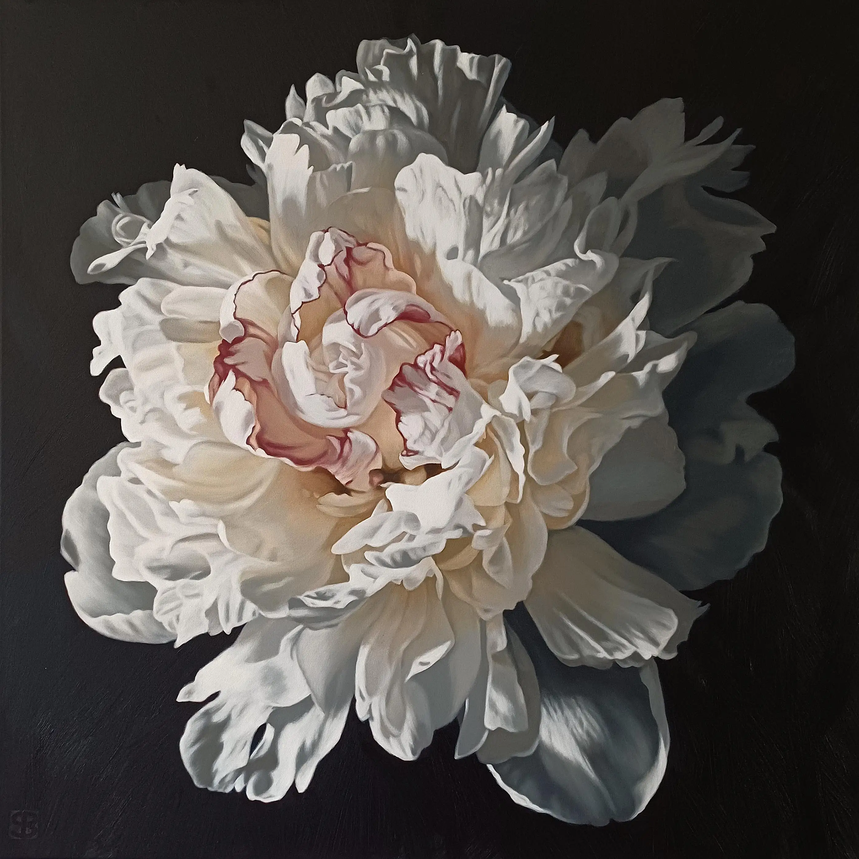 Peony Portrait 0626 86.5x86.5cm