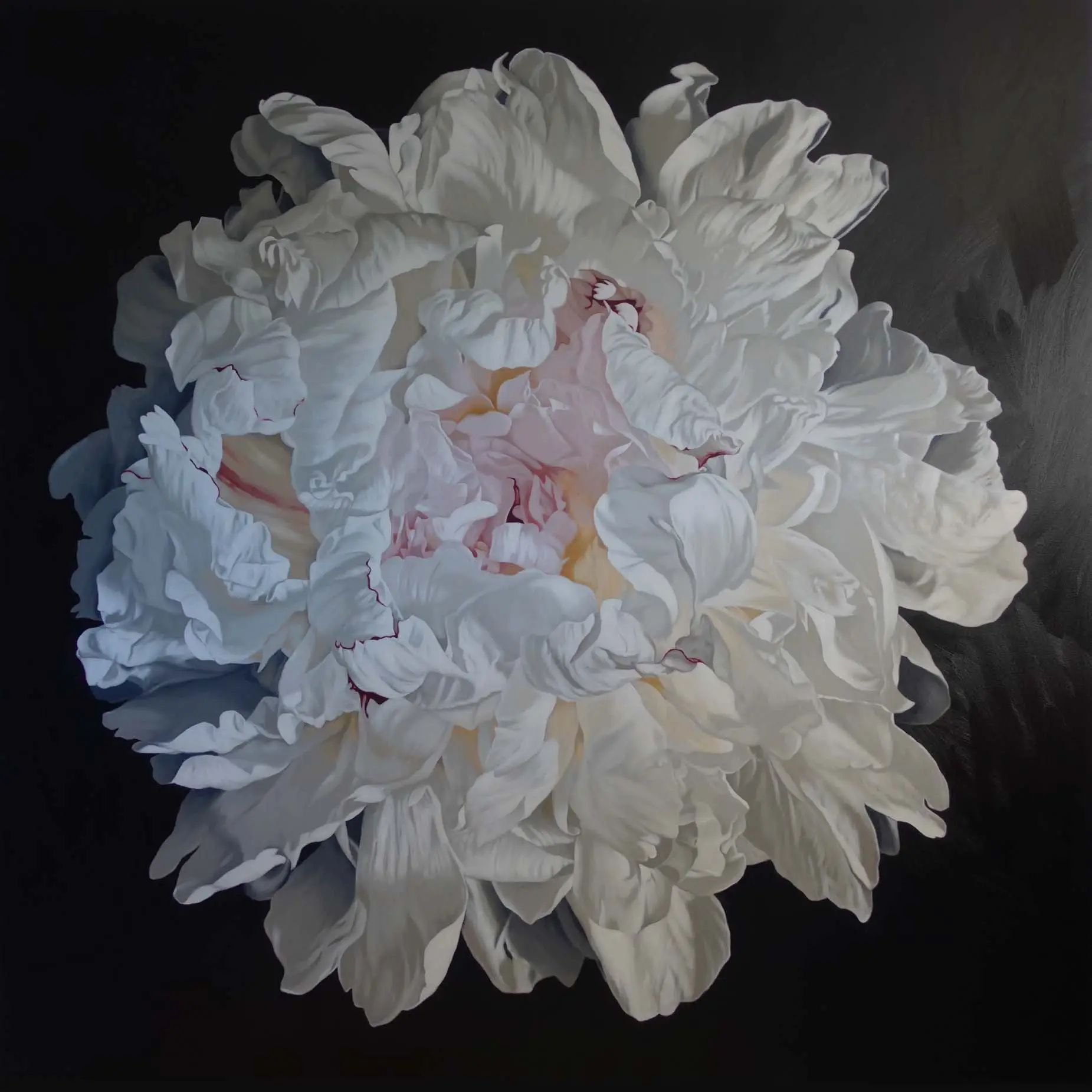 Peony Portrait 1725 200x200cm
