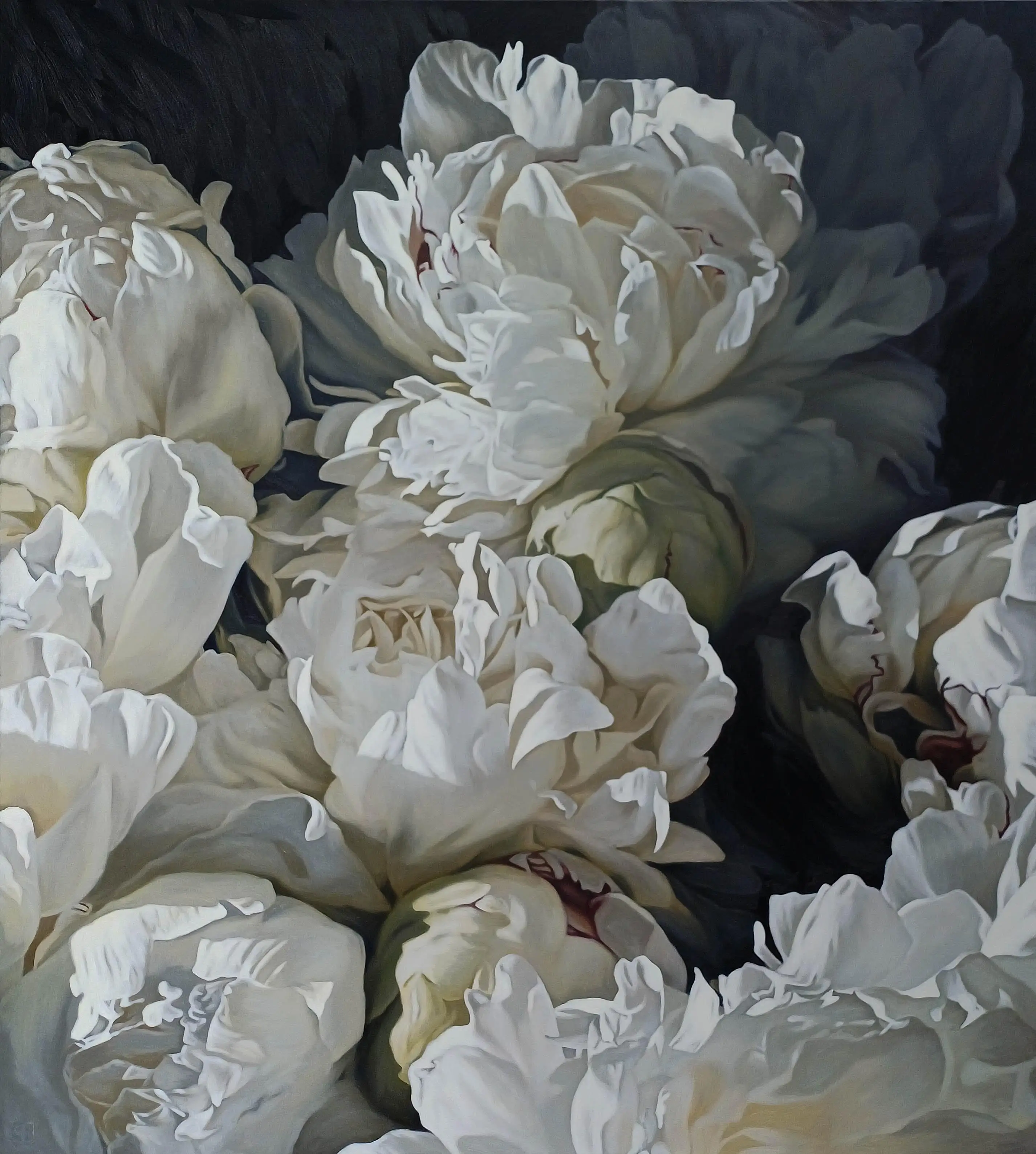 Peonies 1026 153x137cm