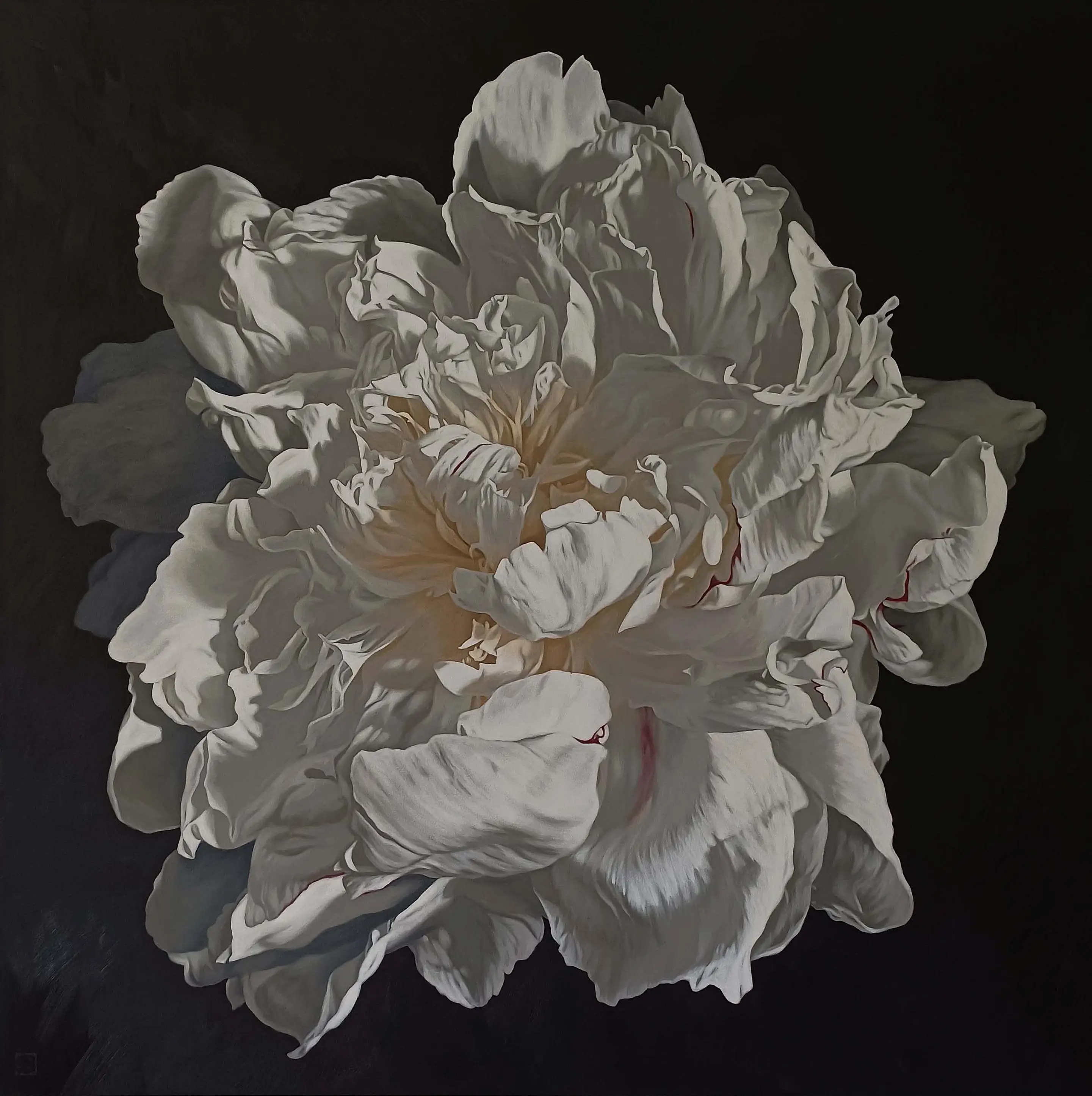 Peony Portrait 0226 153x153cm