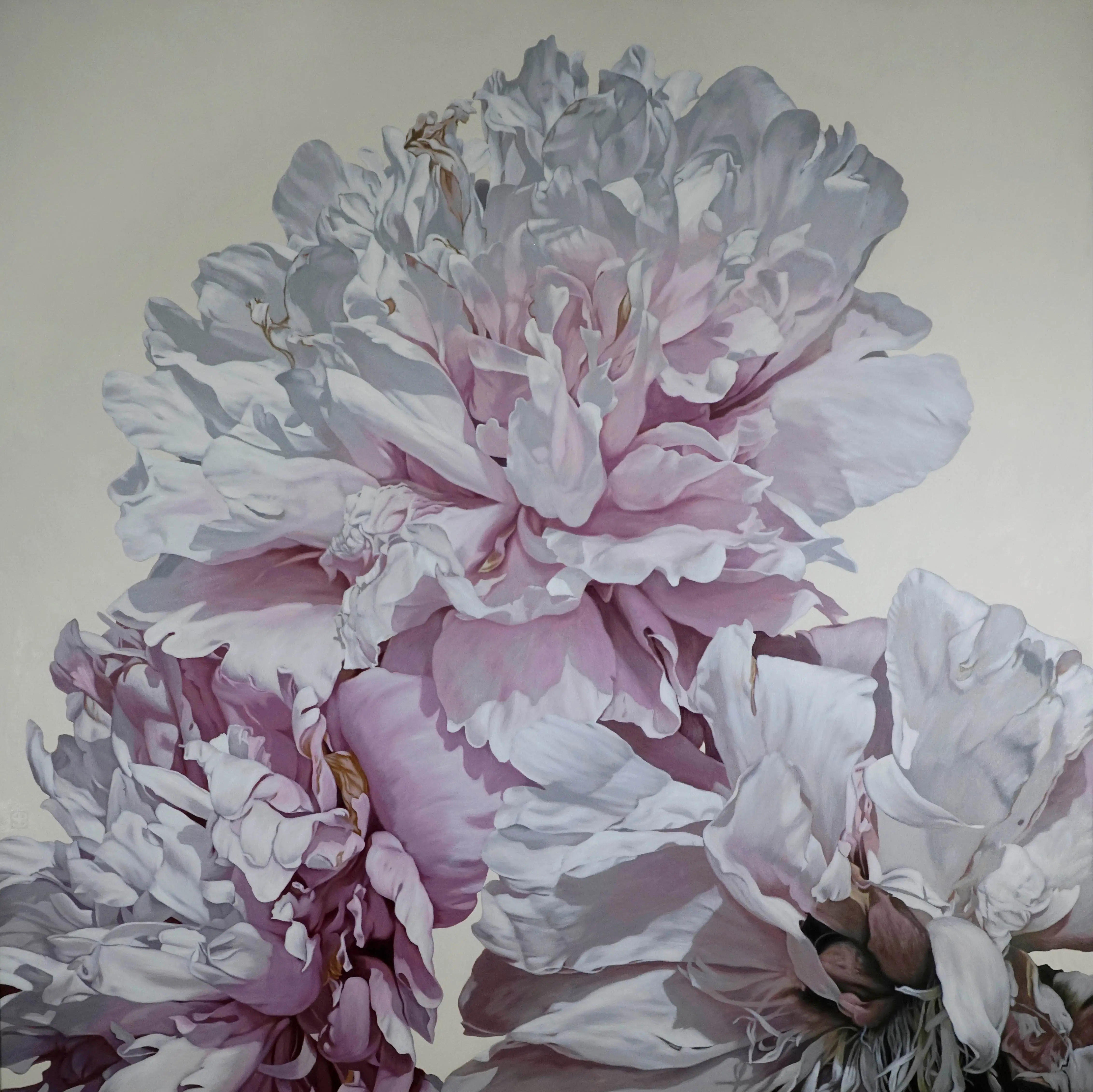 Peonies 1126 182x182cm
