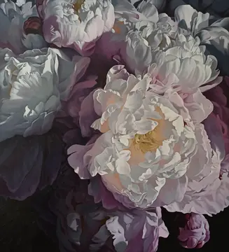 Peonies 2125 153x137
