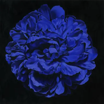 SimonBarlow_PeonyPortrait1724_1530x1530mm_WEB