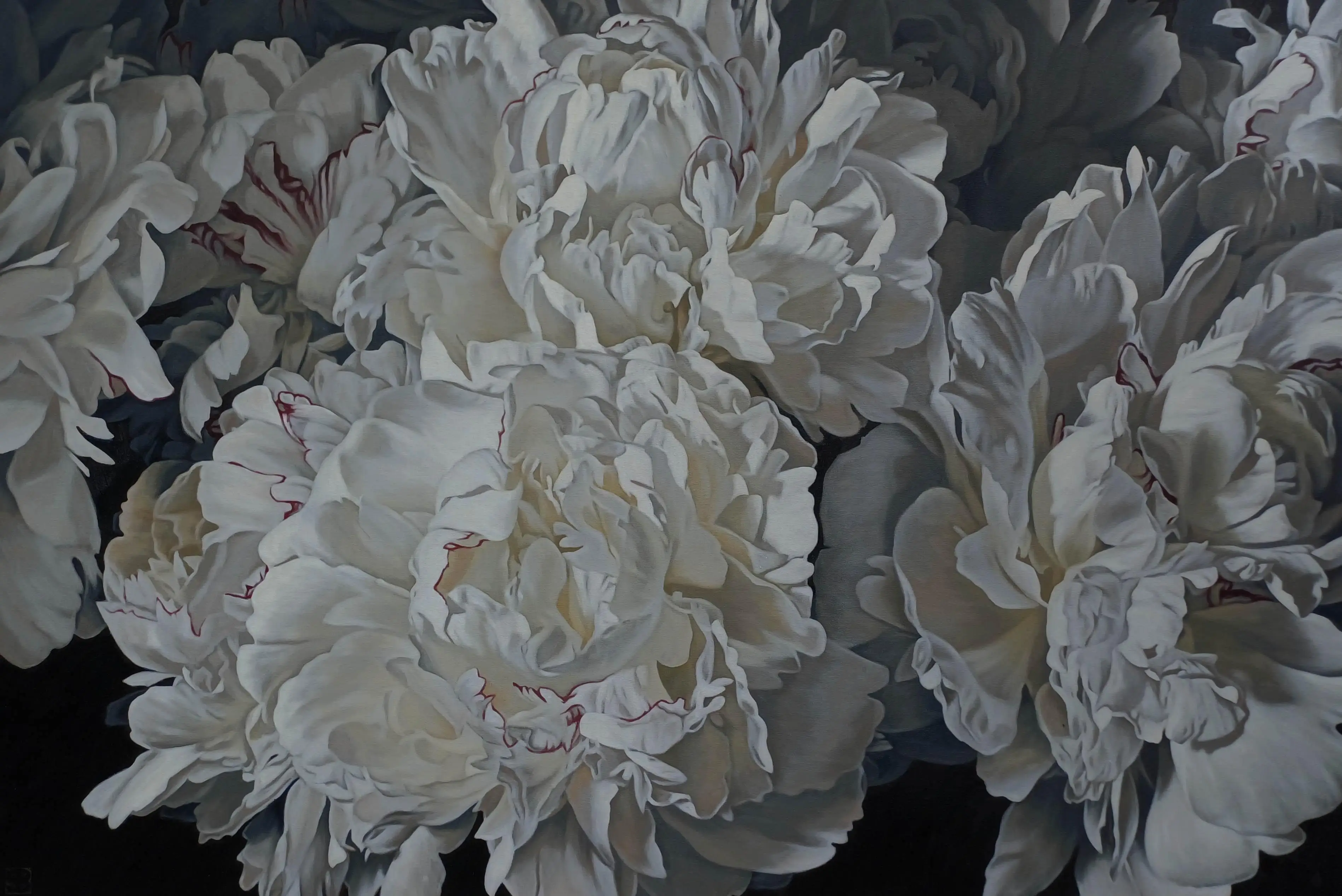 Peonies 0926 153x103cm