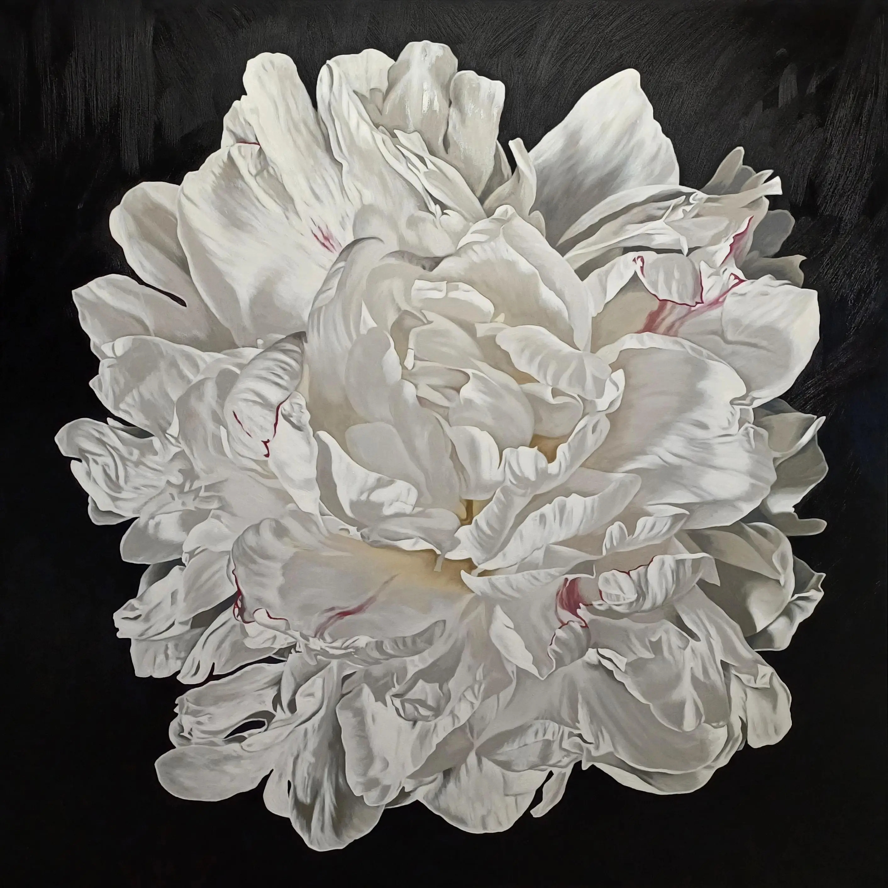 Peony Portrait 0124 153x153cm