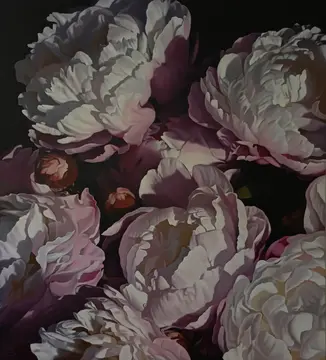 Peonies 2025 153x137