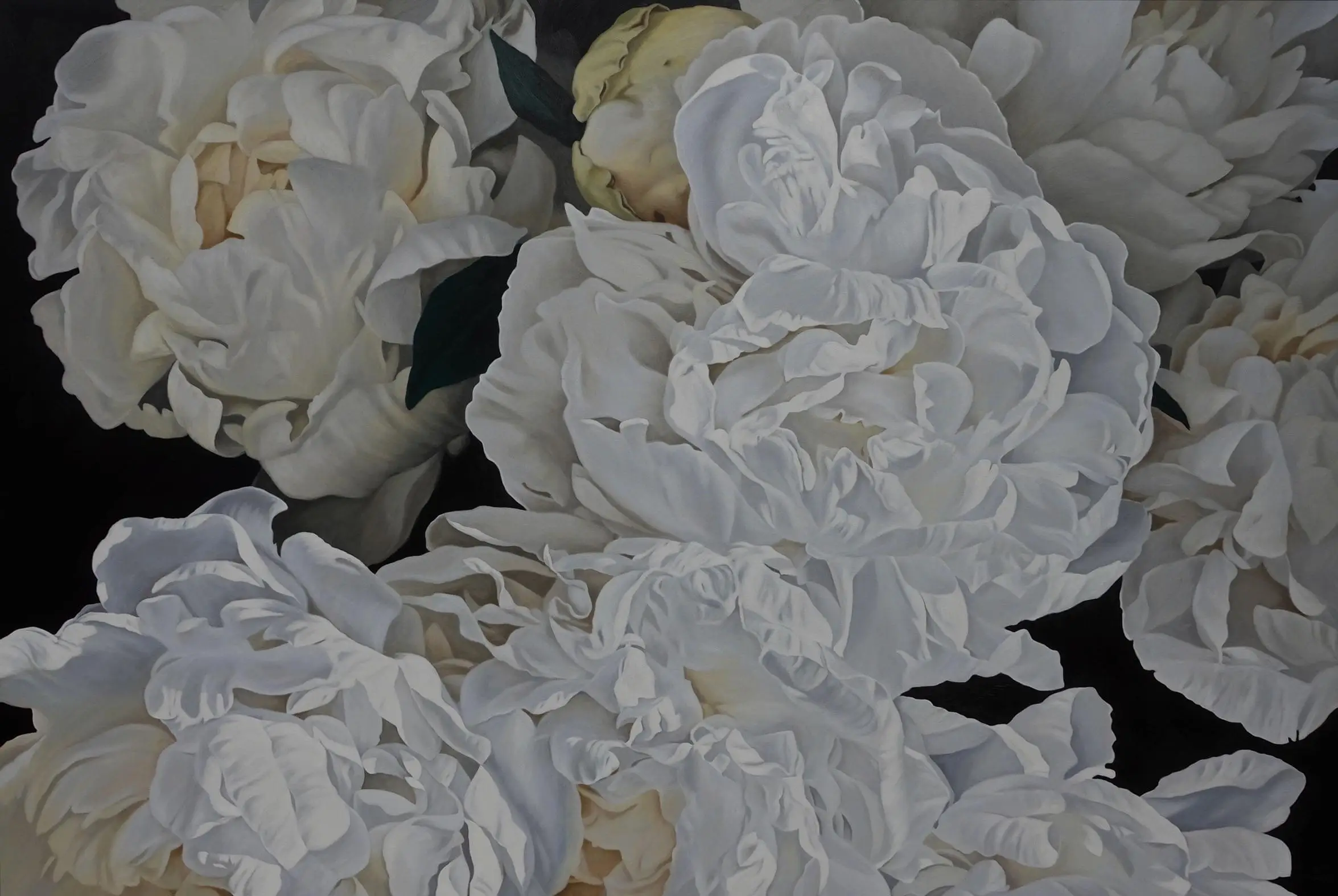 Peonies 1252 153x229cm
