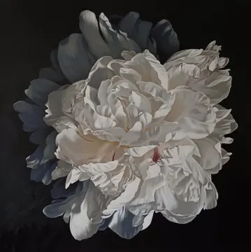 Peony Portrait 0126 153x153cm