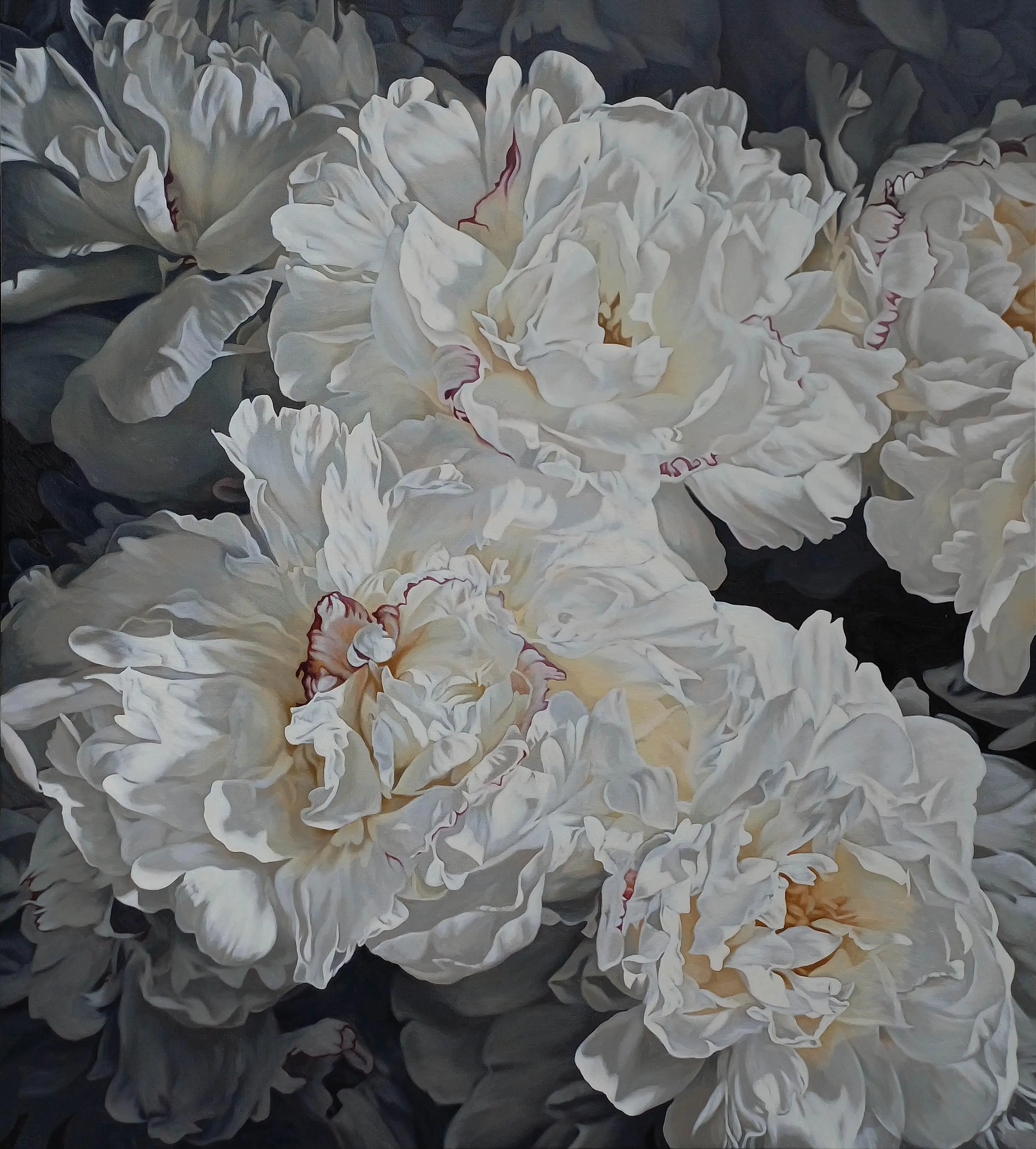 Peonies 1226 153x137cm