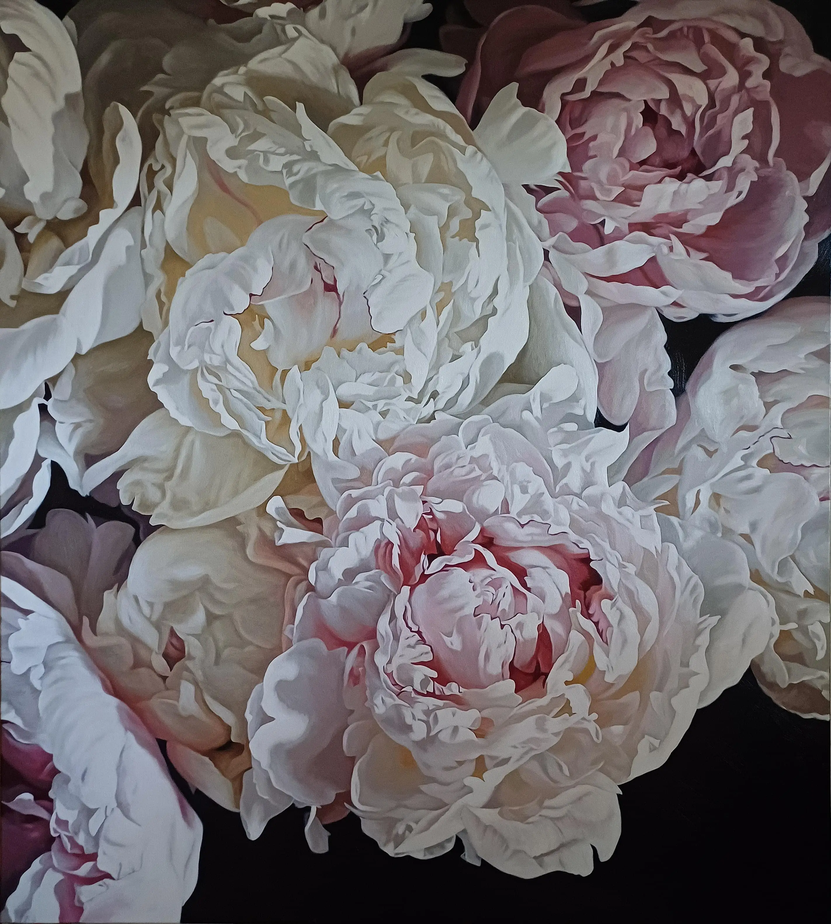 Peonies 0524 153x137cm
