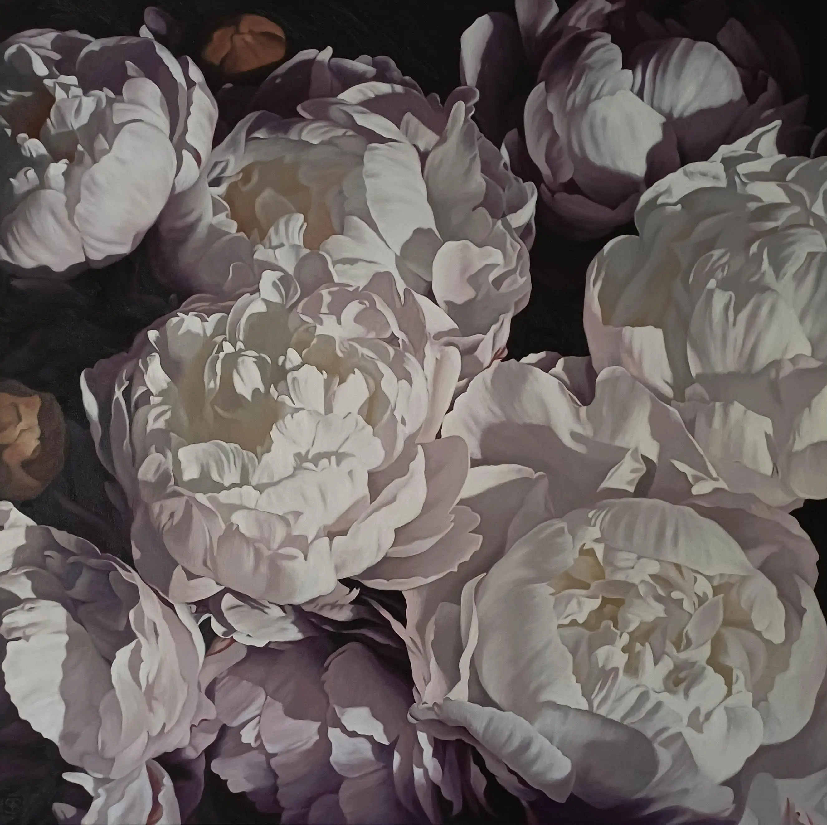 Peonies 0726 130x130cm
