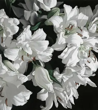 SimonBarlow_Lilies2024_WEB