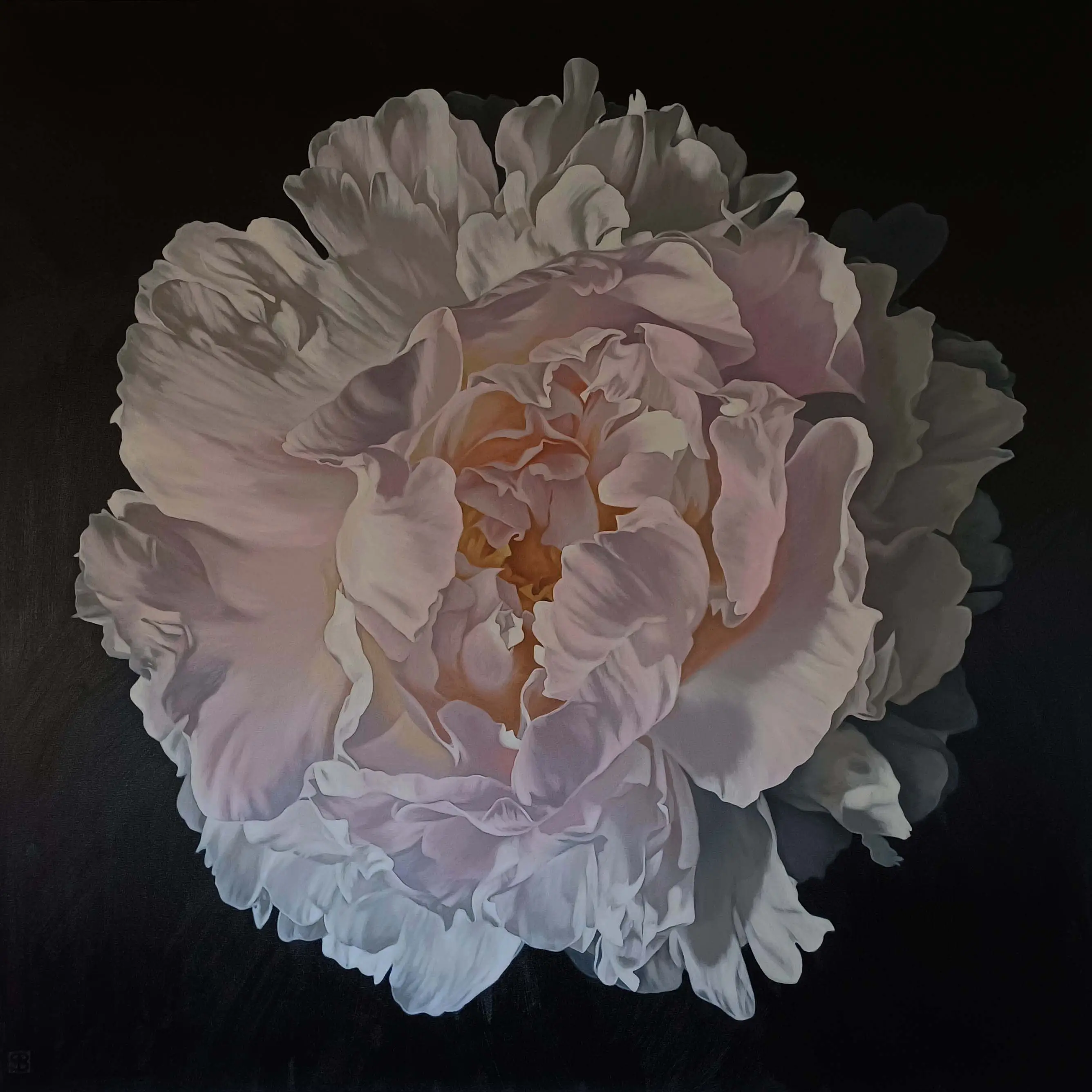 Peony Portrait 1425 153x153cm