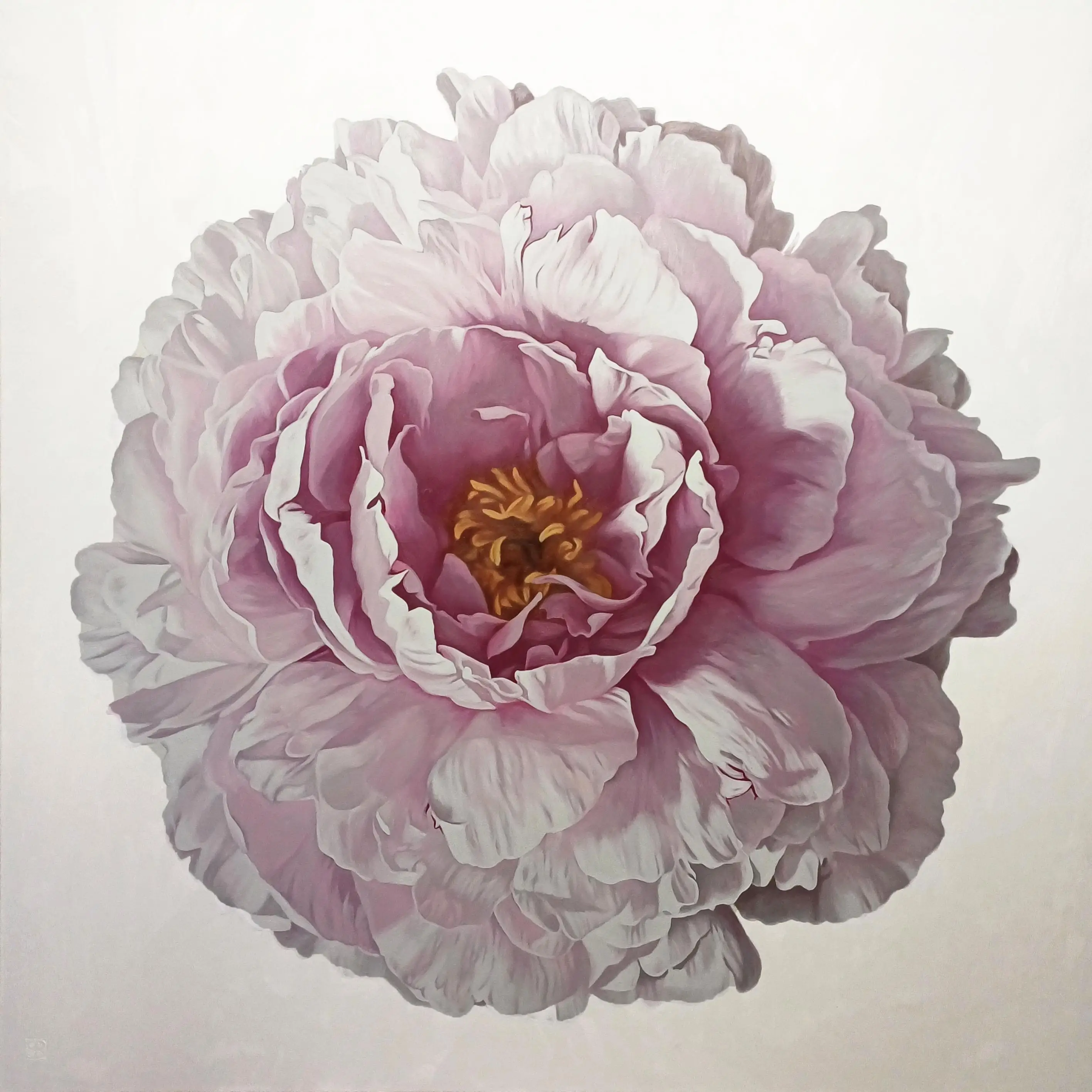Peony Portrait 0424 153x153cm