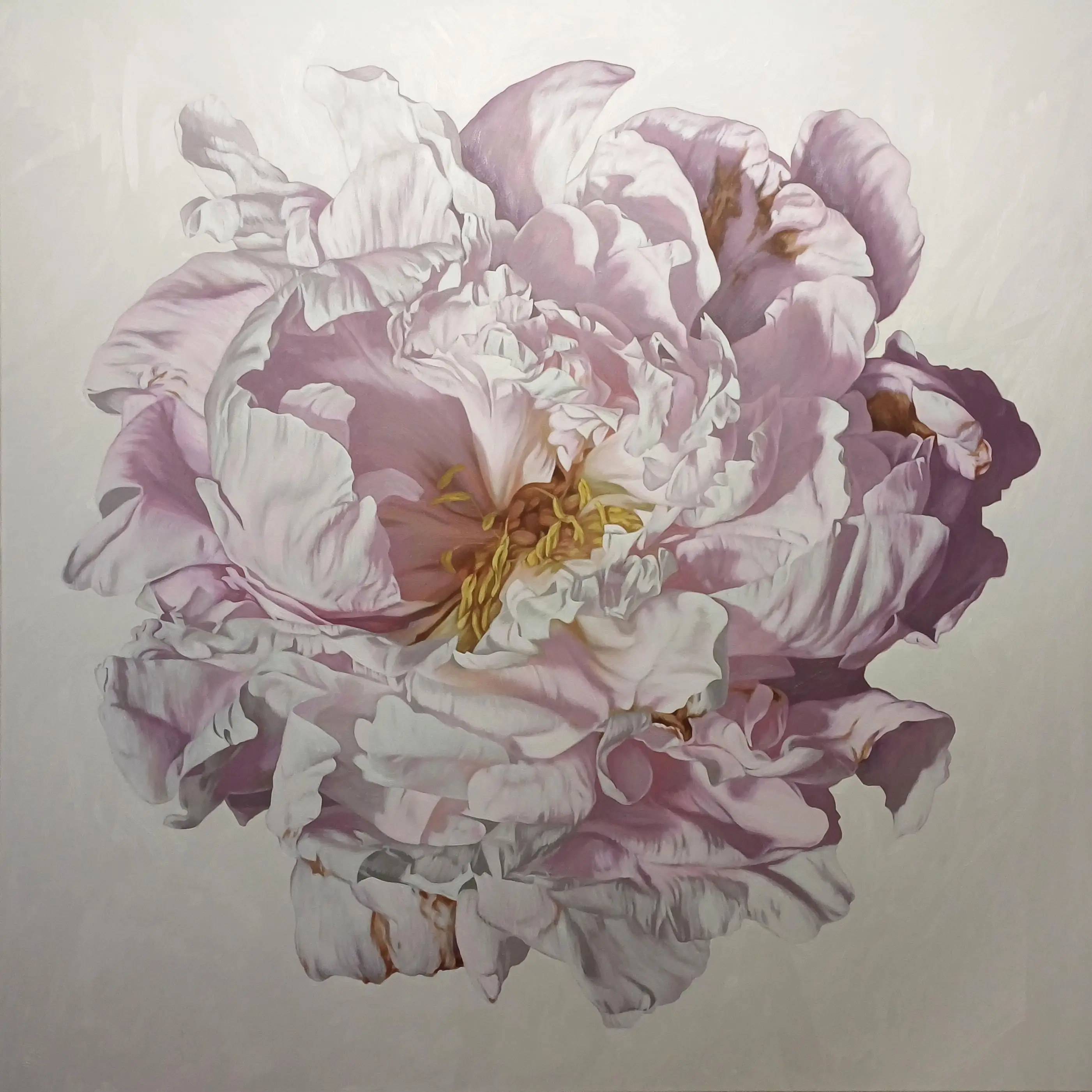 Peony Portrait 0224 153x153cm