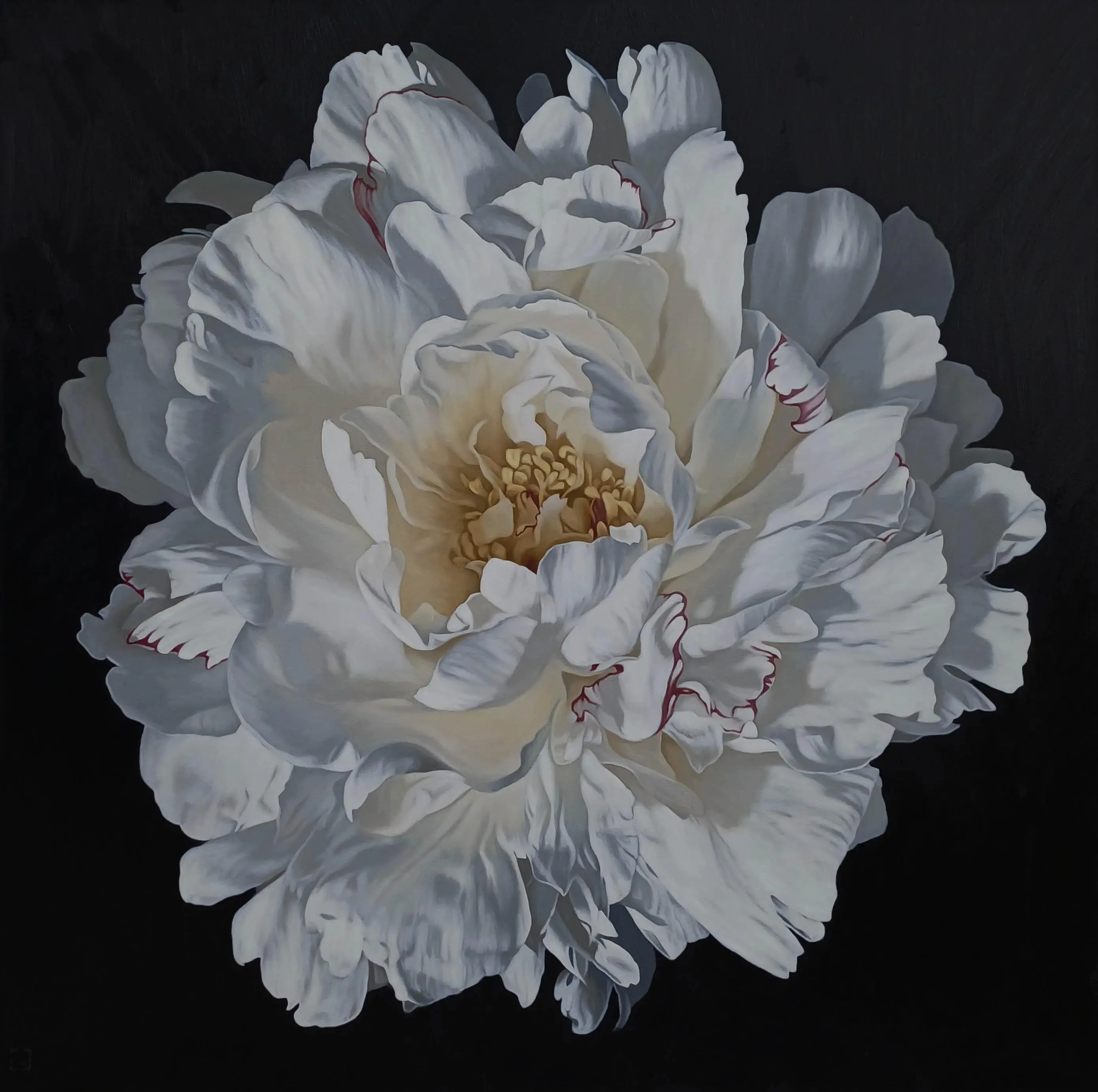 Peony Portrait 1726 153x153cm