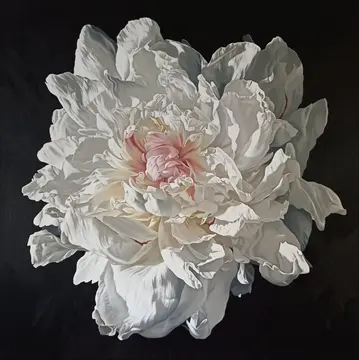 Peony Portrait 0526 153x153cm